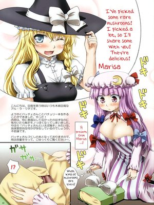 8muses Hentai-Manga Patchouli and Marisa’s Mushrooms image 02 