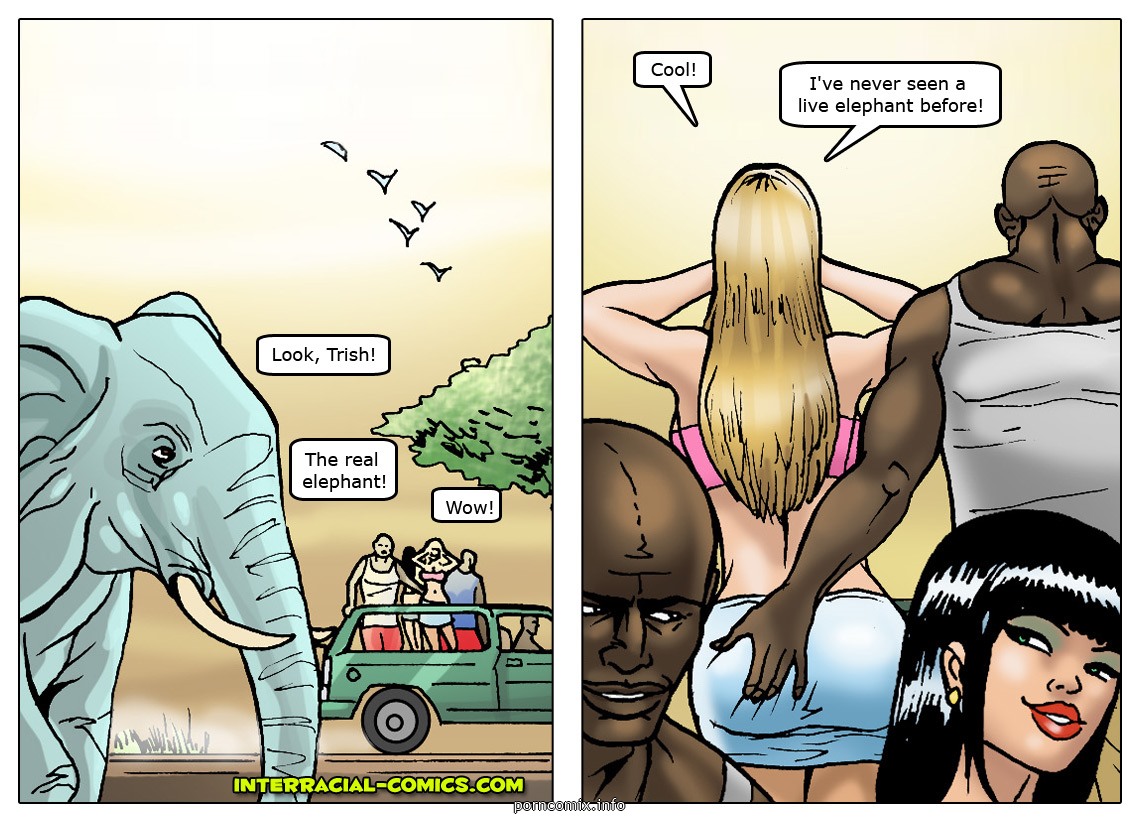 Asian Interracial Cartoon Porn - african-adventures-interracial comic image 22